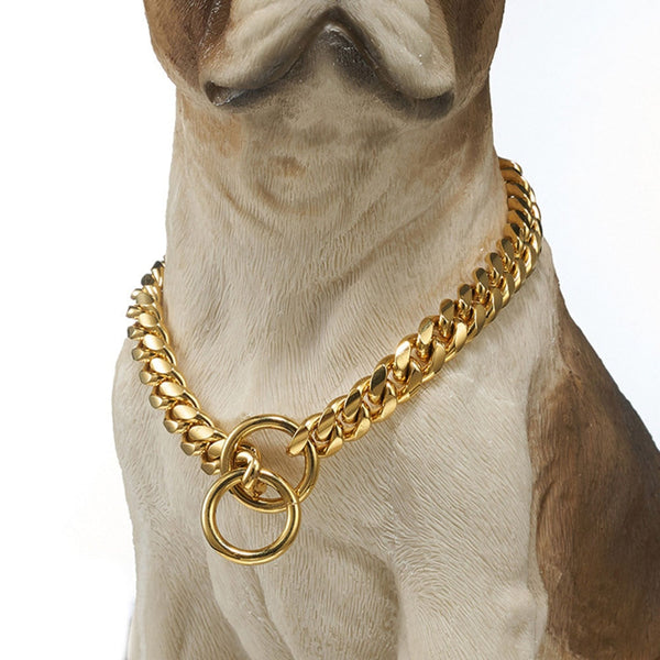 Coleira Guardião Dourado para Cães